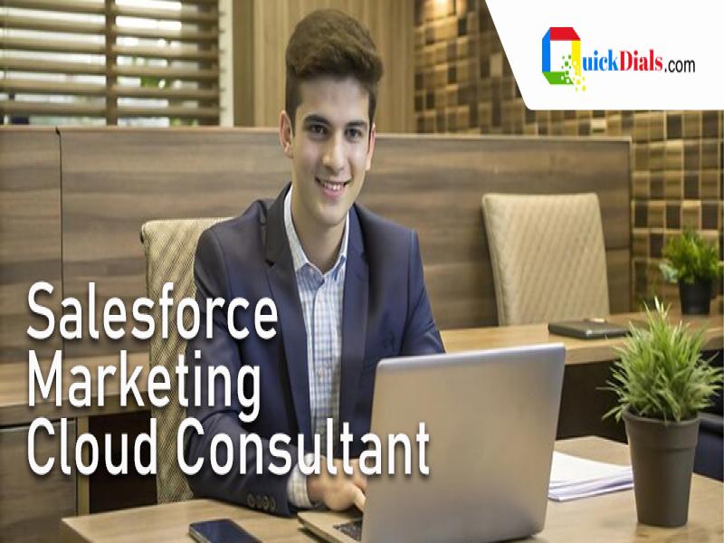 Salesforce Marketing Cloud Consultant